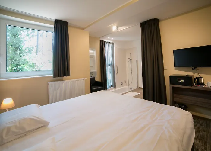 俄里翁酒店 3* 根特