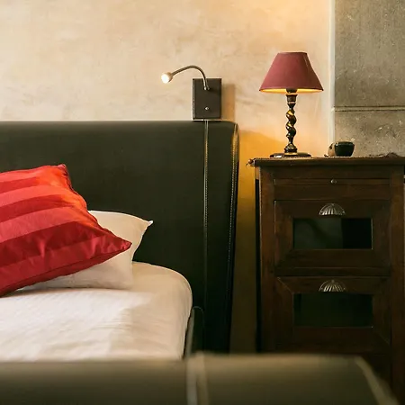 Hotel Orion